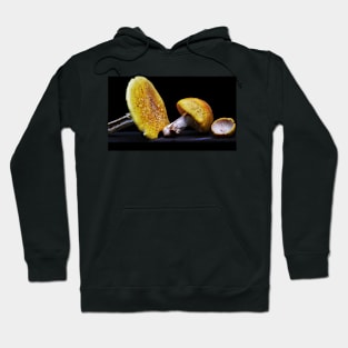 Aminitas ~ Three Shrooms Hoodie